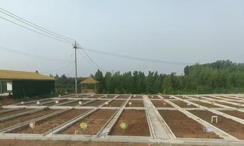 伊川野狐嶺共享菜園